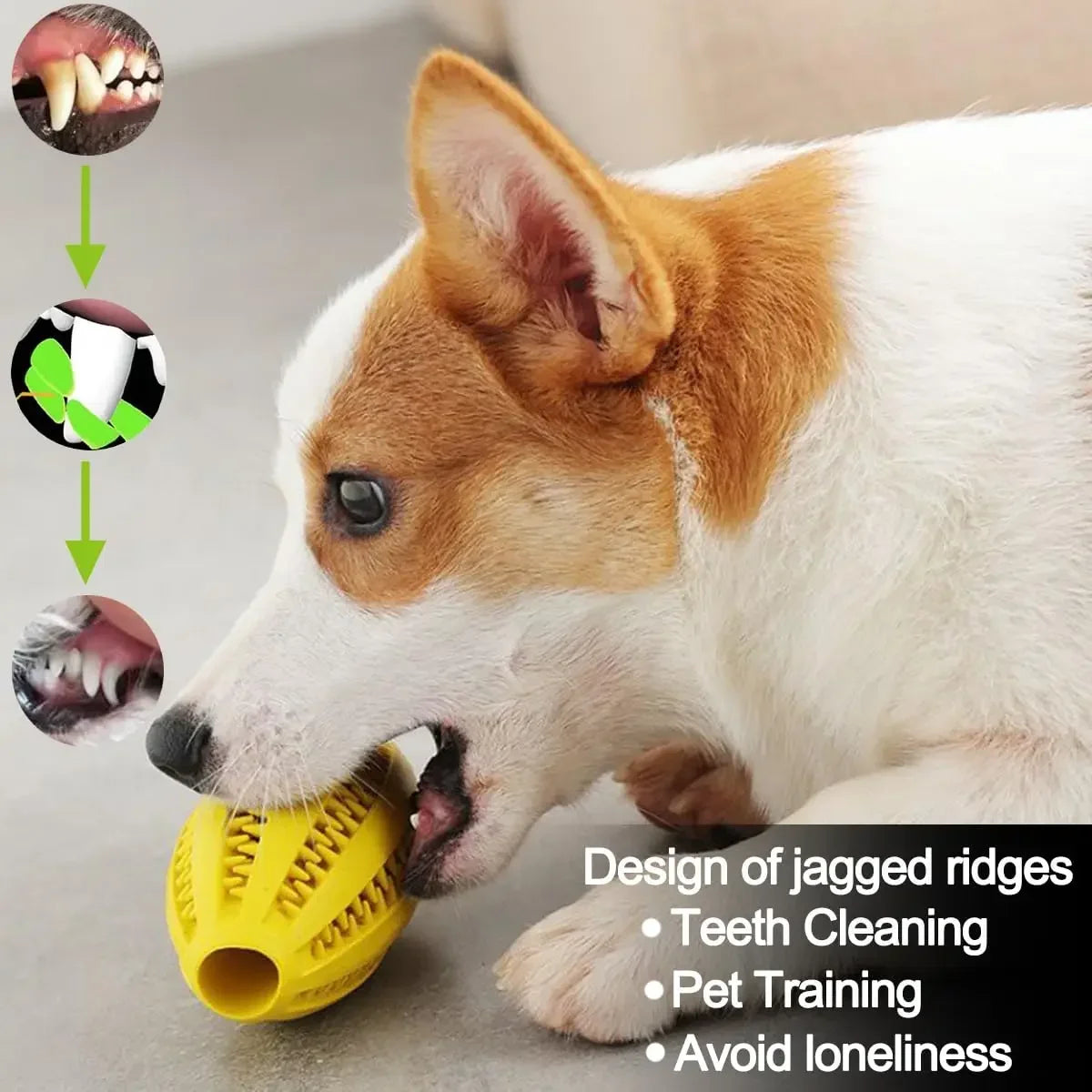 Pet Dog Chew Toys Teeth Cleaning Snack Ball Pet Dog