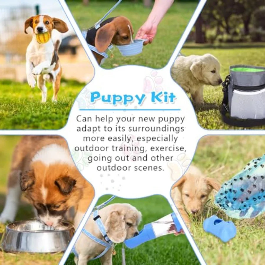 65 Pcs Puppy Supplies Starter Kit Small Dog