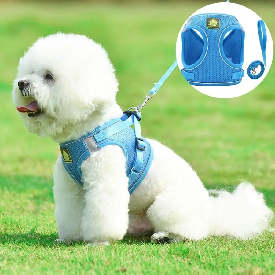 Blue Mesh Adjustable Dog Harness and Leash
