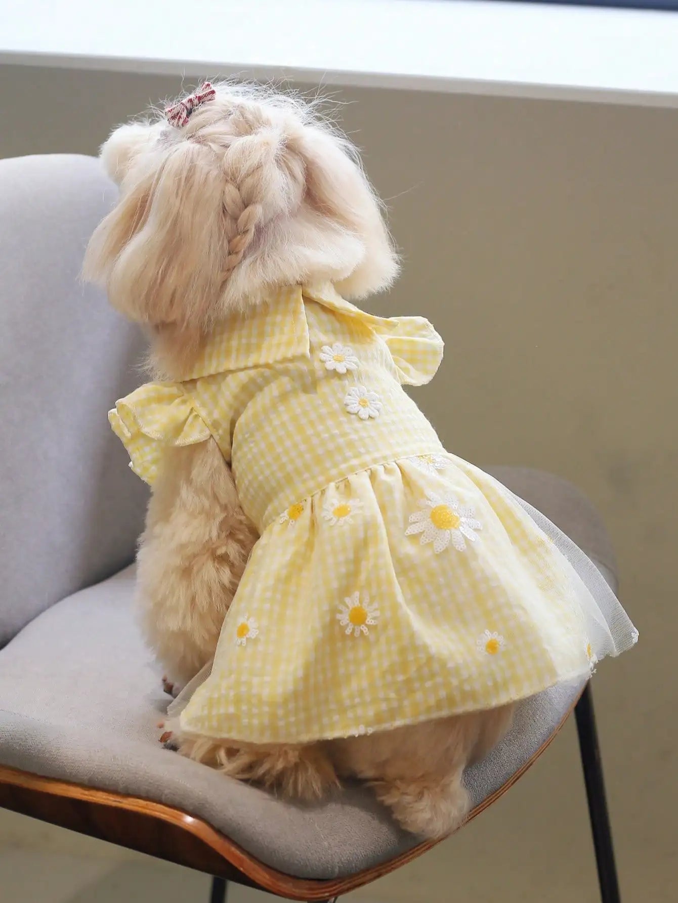Yellow Gingham Dog Dress with Daisy Embroidery and Ruffled Sleeves