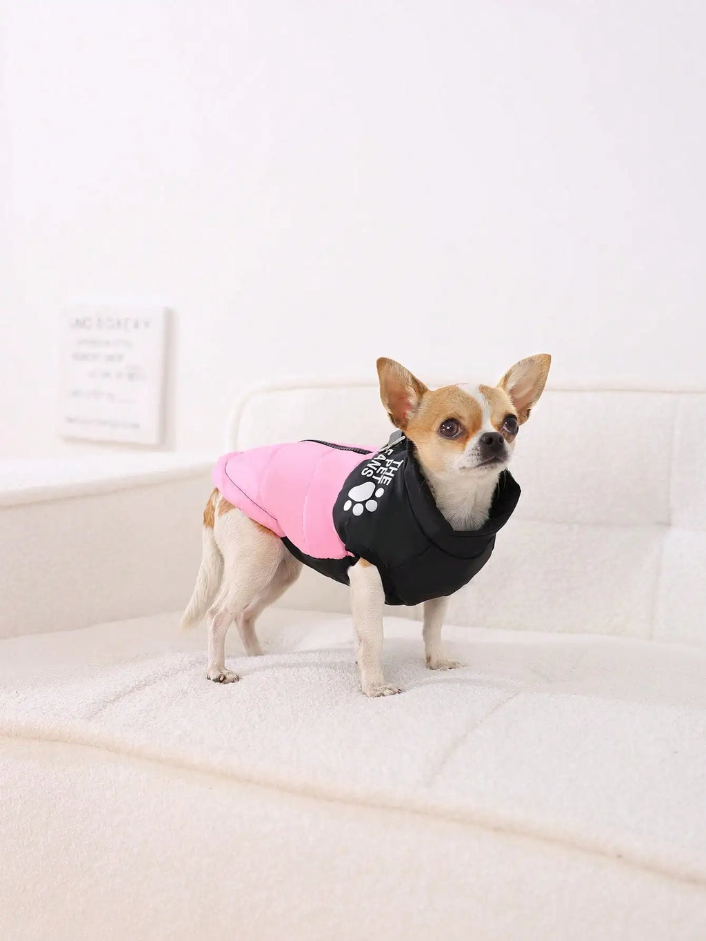 Warm Puffer Dog Vest  Zipper Front for Small to Medium Dogs
