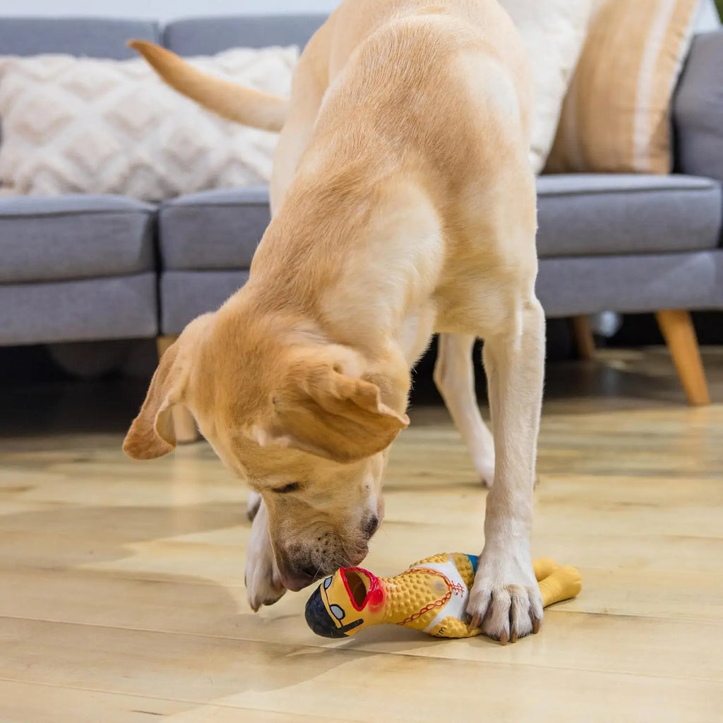 Squeaky Rubber Chicken Dog Toy, Funny Interactive Holiday Gift