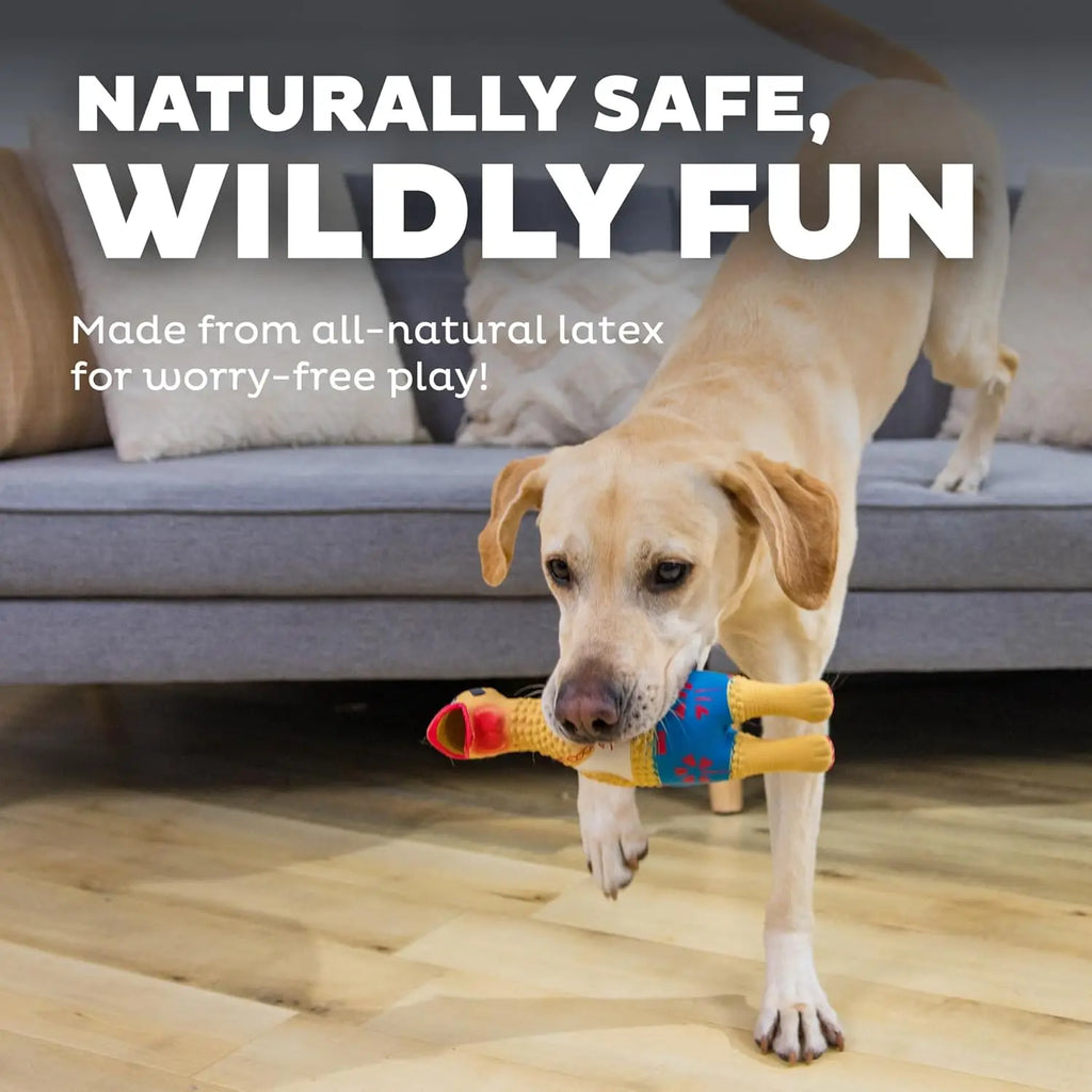 Squeaky Rubber Chicken Dog Toy, Funny Interactive Holiday Gift