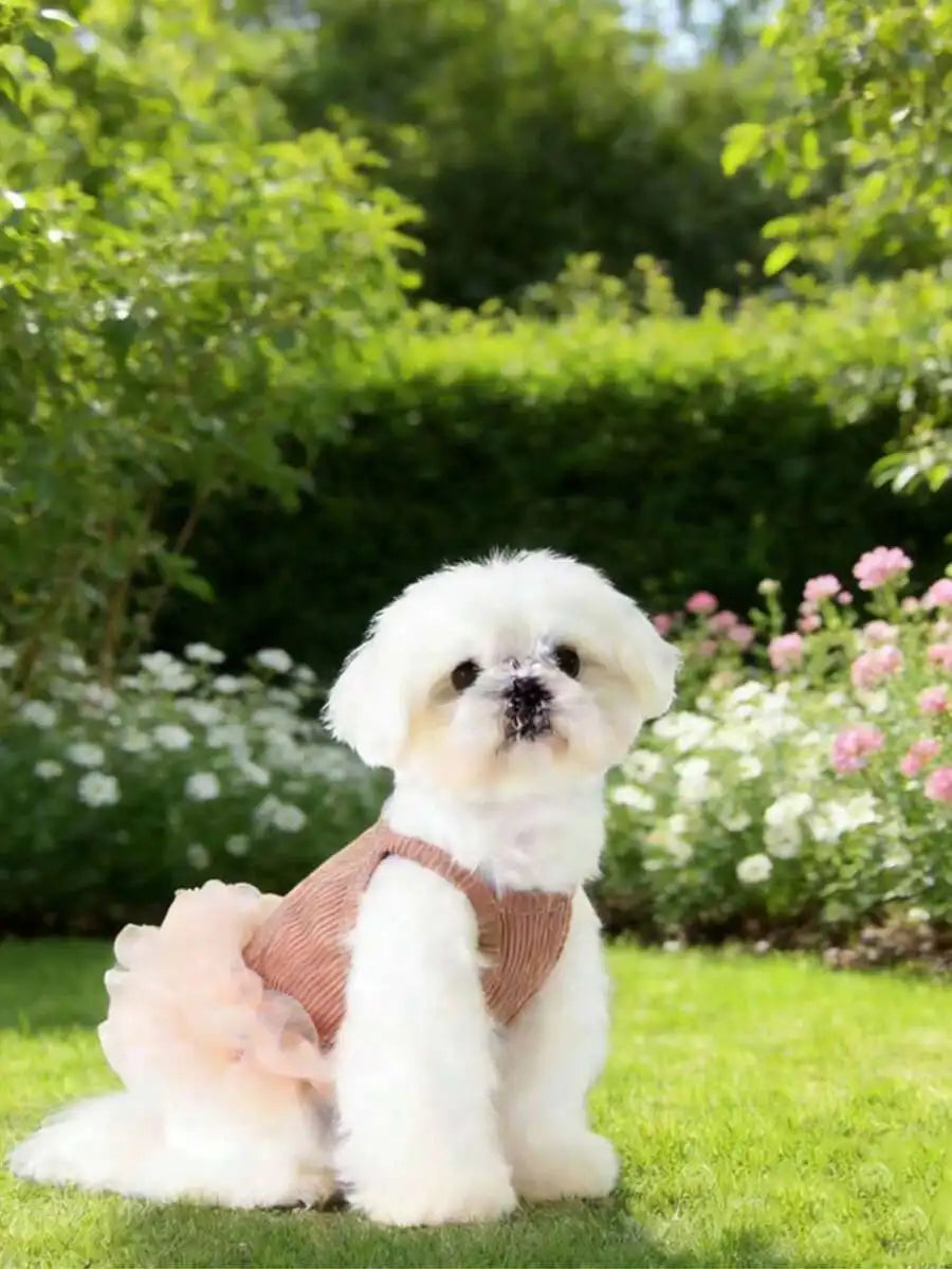 1pc Pink Tulle Sleeveless Pet Dress for Small Dogs & Cats