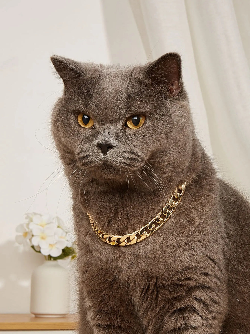 Gold-Chain Style Pet Collar for Cats and Dogs,