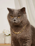 Gold-Chain Style Pet Collar for Cats and Dogs,