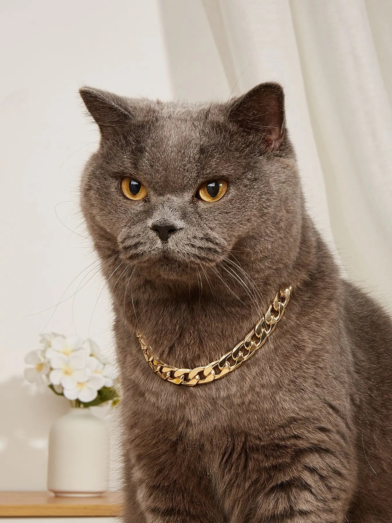 Gold-Chain Style Pet Collar for Cats and Dogs,