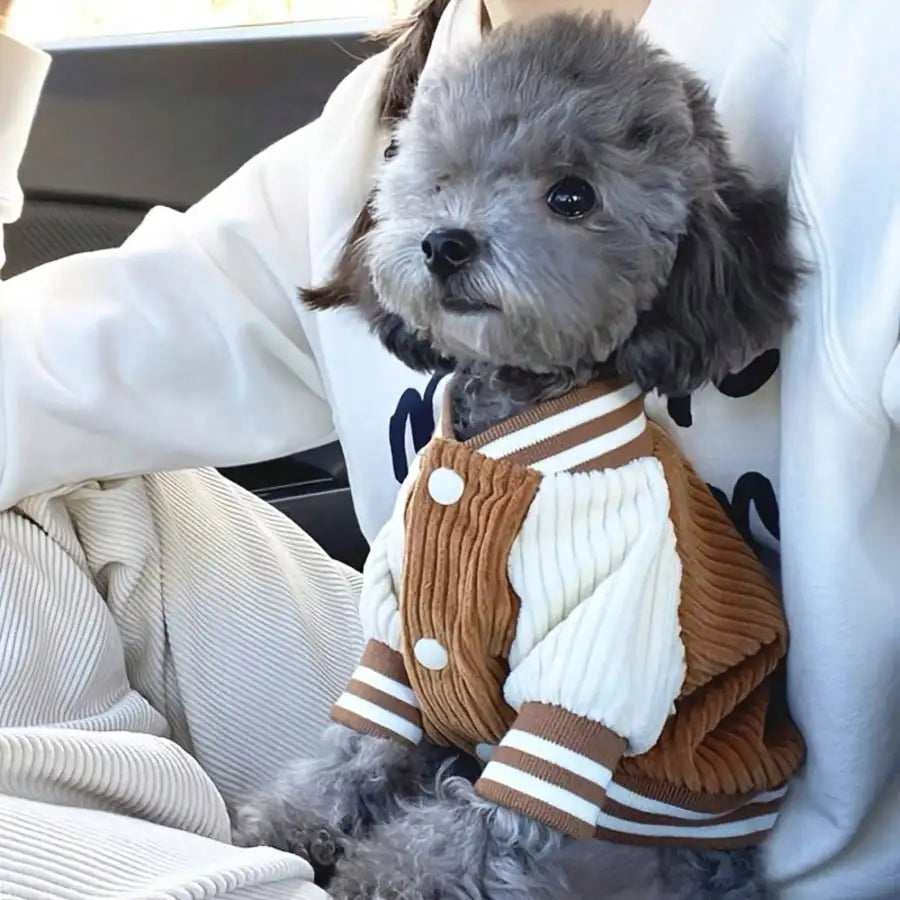 Corduroy Dog Varsity-Style Jacket for Autumn Winter