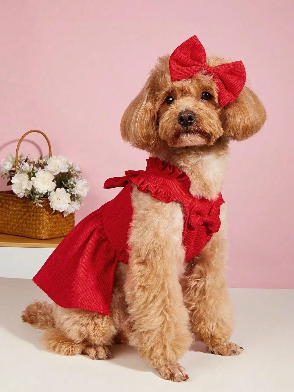 Red Corduroy Bowknot Dog Dress with Hair Clip for Small Breeds