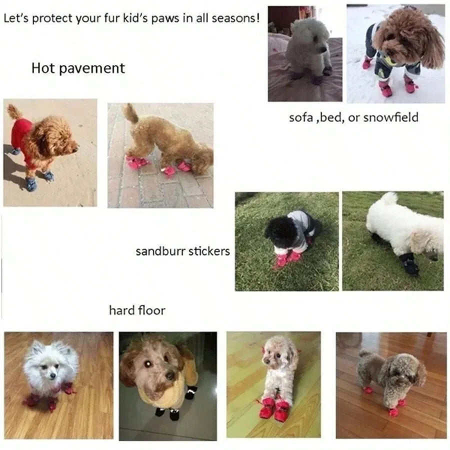 Dog Boots for Small Dogs & Puppies - Blue, Pink, Black, Red