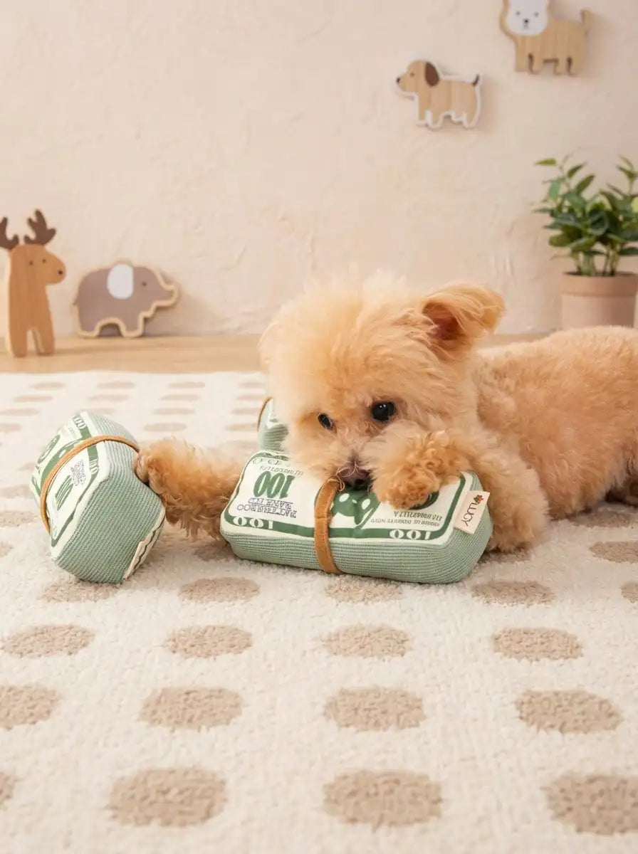 Green Money Stack Plush Squeaky Chew Toy