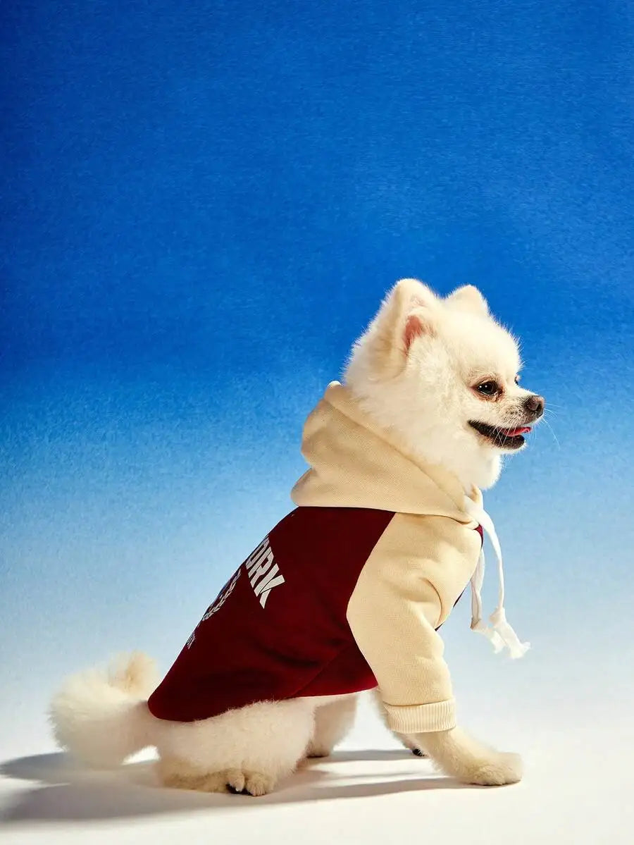 Pet Hoodie Sweatshirt with Vintage Color Block