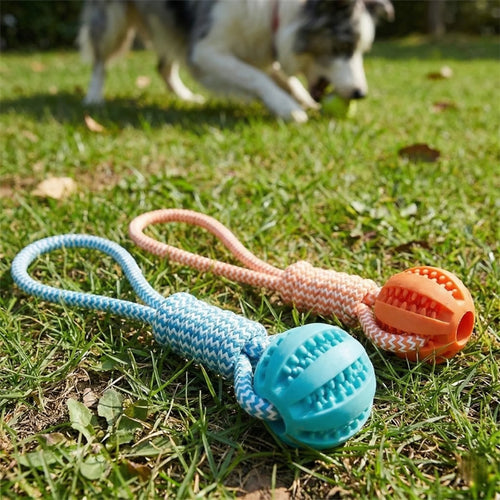 18×5cm Treat Dispensing Rubber Ball, Mental Stimulation Toy
