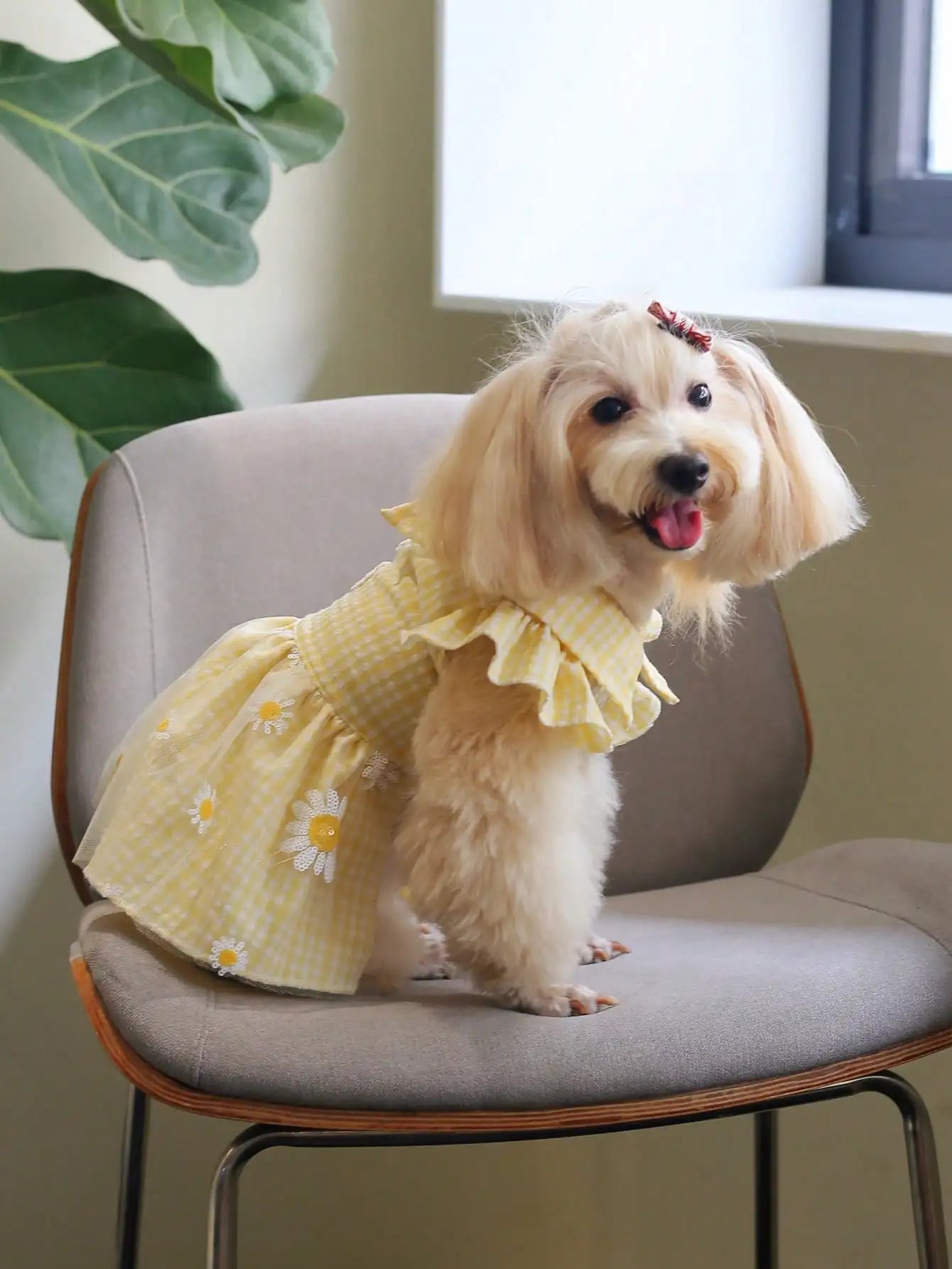 Yellow Gingham Dog Dress with Daisy Embroidery and Ruffled Sleeves