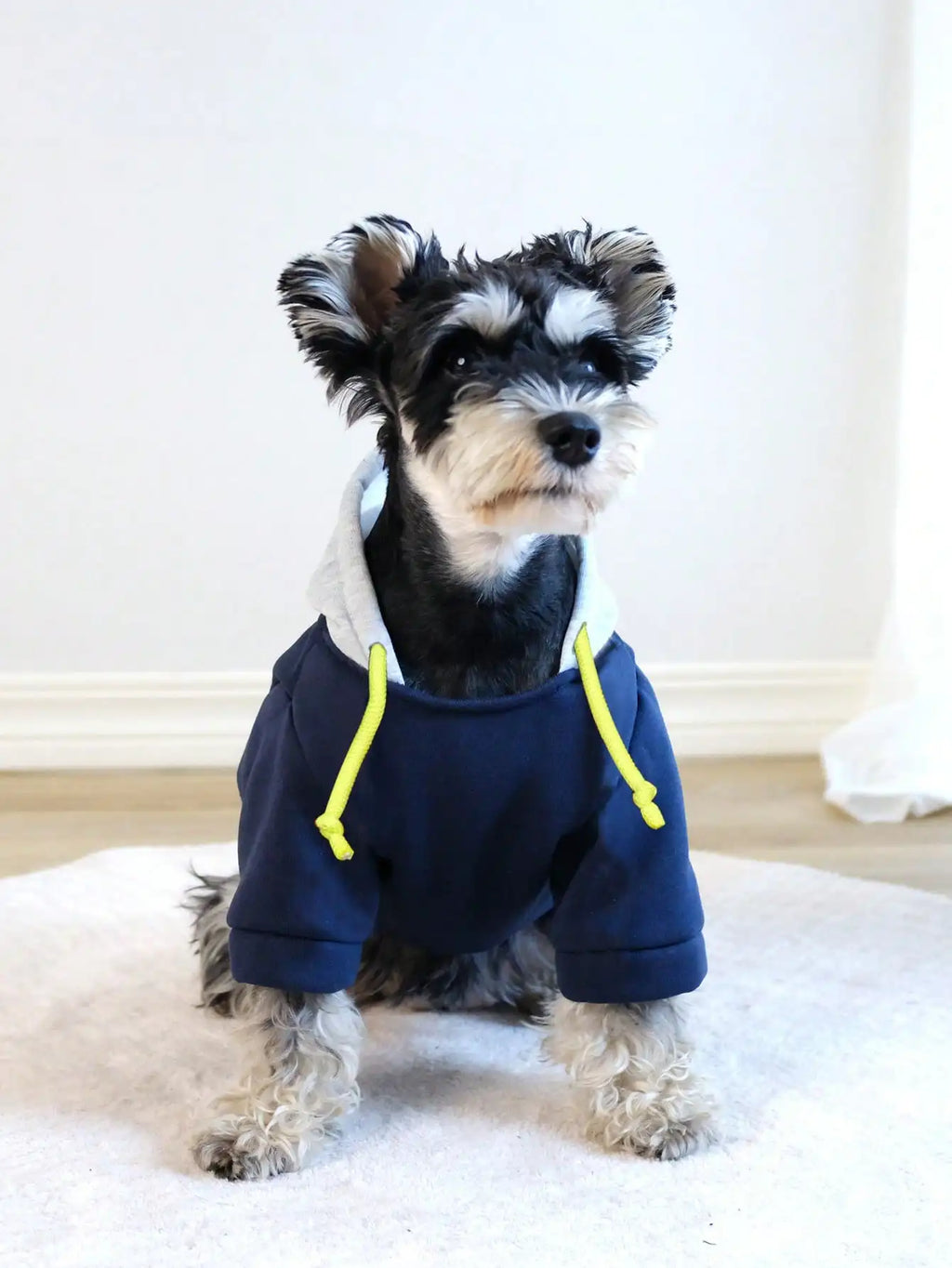 Navy Blue Hooded Dog Sweatshirt  for Small Medium Dogs