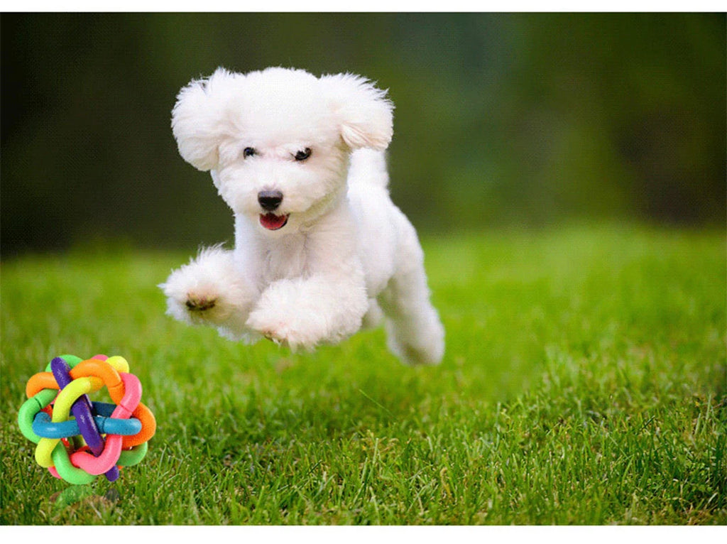 Colorful Bell Woven Dog Chew Toy, Bite-Resistant Rubber Toy