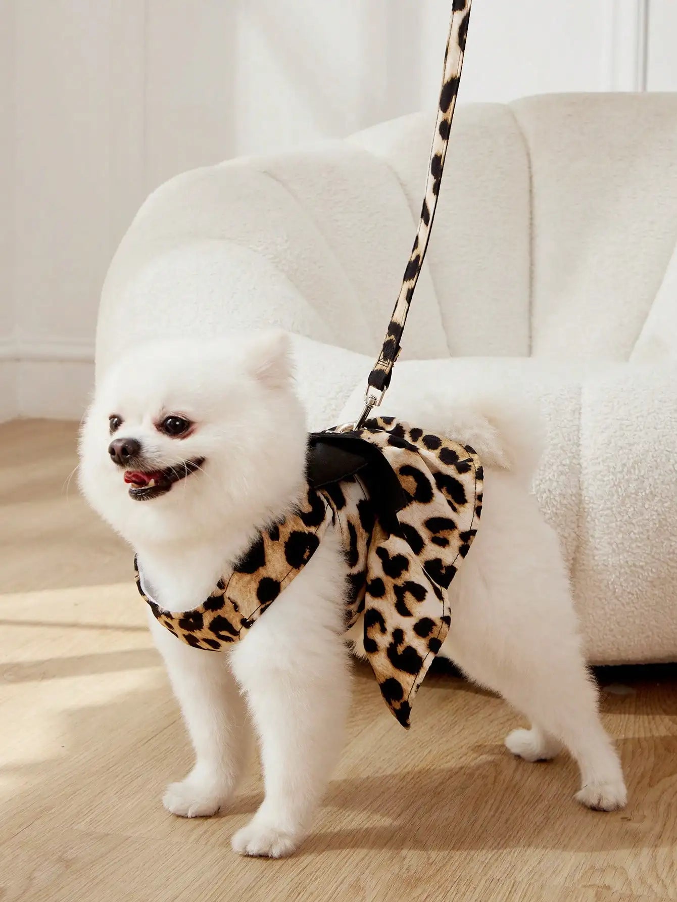 Leopard Print Bow Harness and Leash Set for Small Dogs and Cats