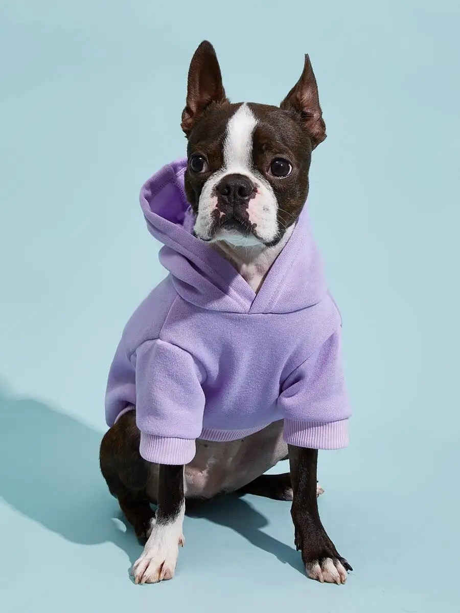 Orange Hooded Pet Sweatshirt with Thermal Lining for Dogs