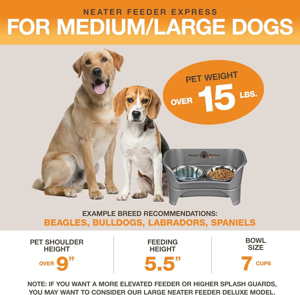 Elevated No-Spill Dog Bowl Set for Medium to Large Breeds