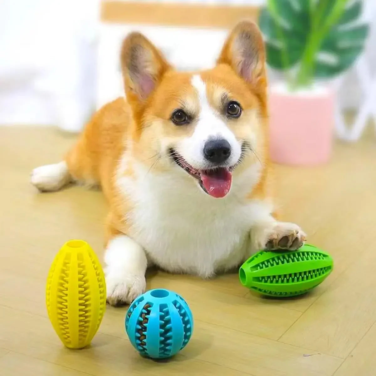 Pet Dog Chew Toys Teeth Cleaning Snack Ball Pet Dog
