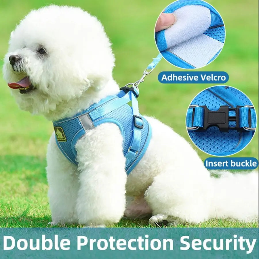 Blue Mesh Adjustable Dog Harness and Leash