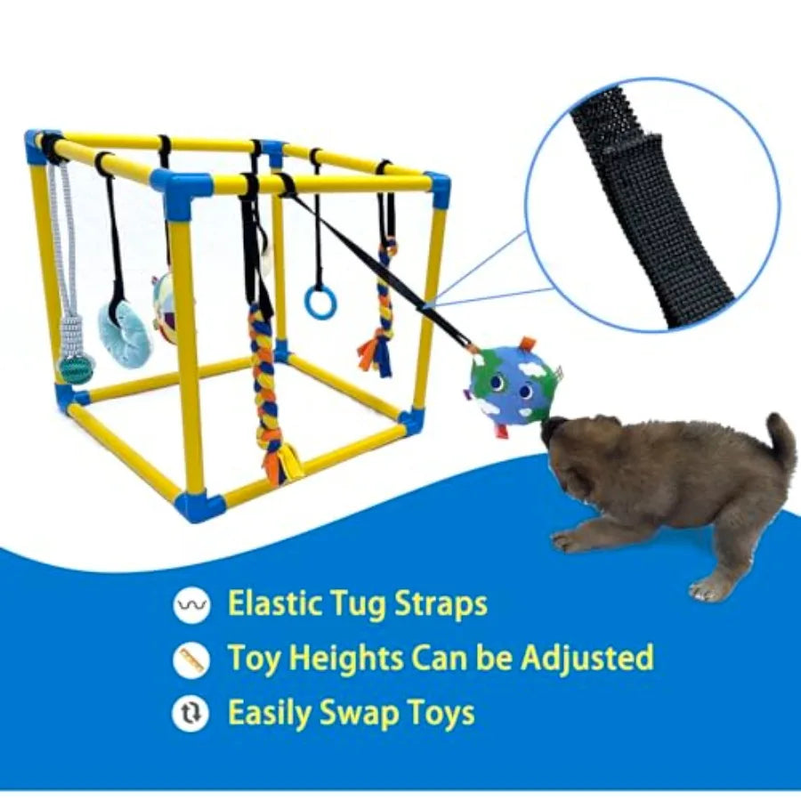 Small Dogs Indoor Jungle Gym, PVC Frame