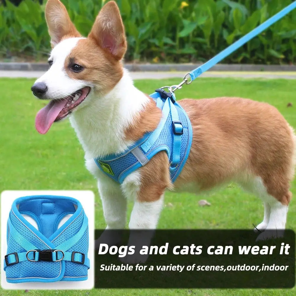 Blue Mesh Adjustable Dog Harness and Leash