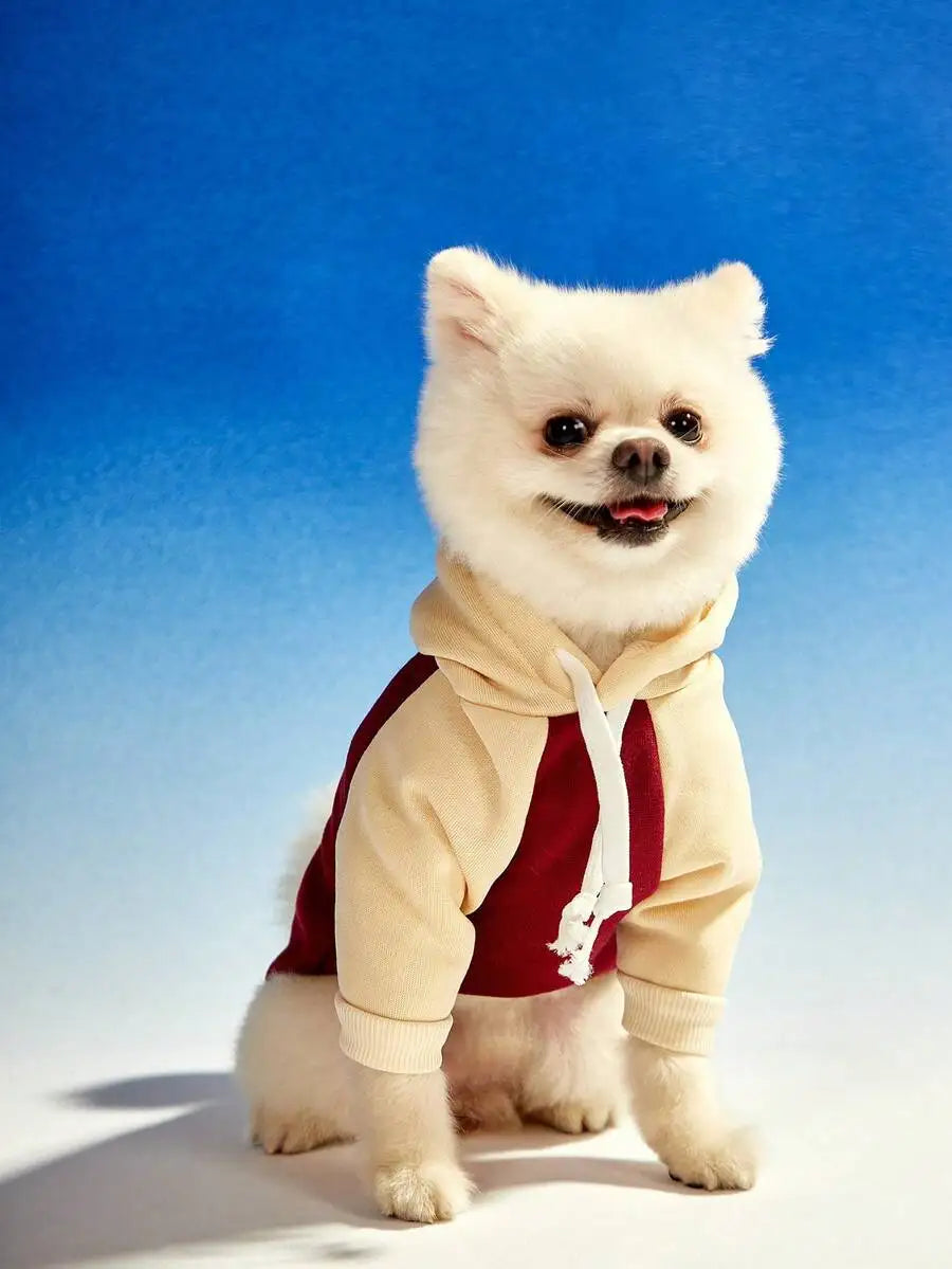 Pet Hoodie Sweatshirt with Vintage Color Block